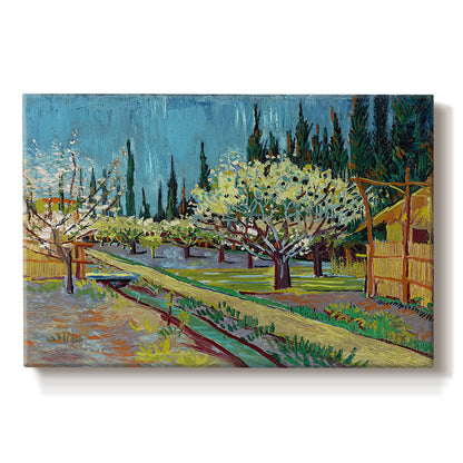 Canvas art print portraying rows of flowering trees enclosed by tall cypress trees in orchard setting, set against a white background