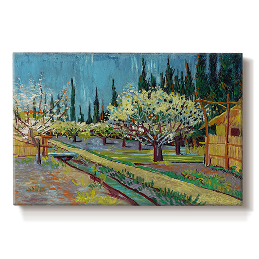 Canvas art print portraying rows of flowering trees enclosed by tall cypress trees in orchard setting, set against a white background