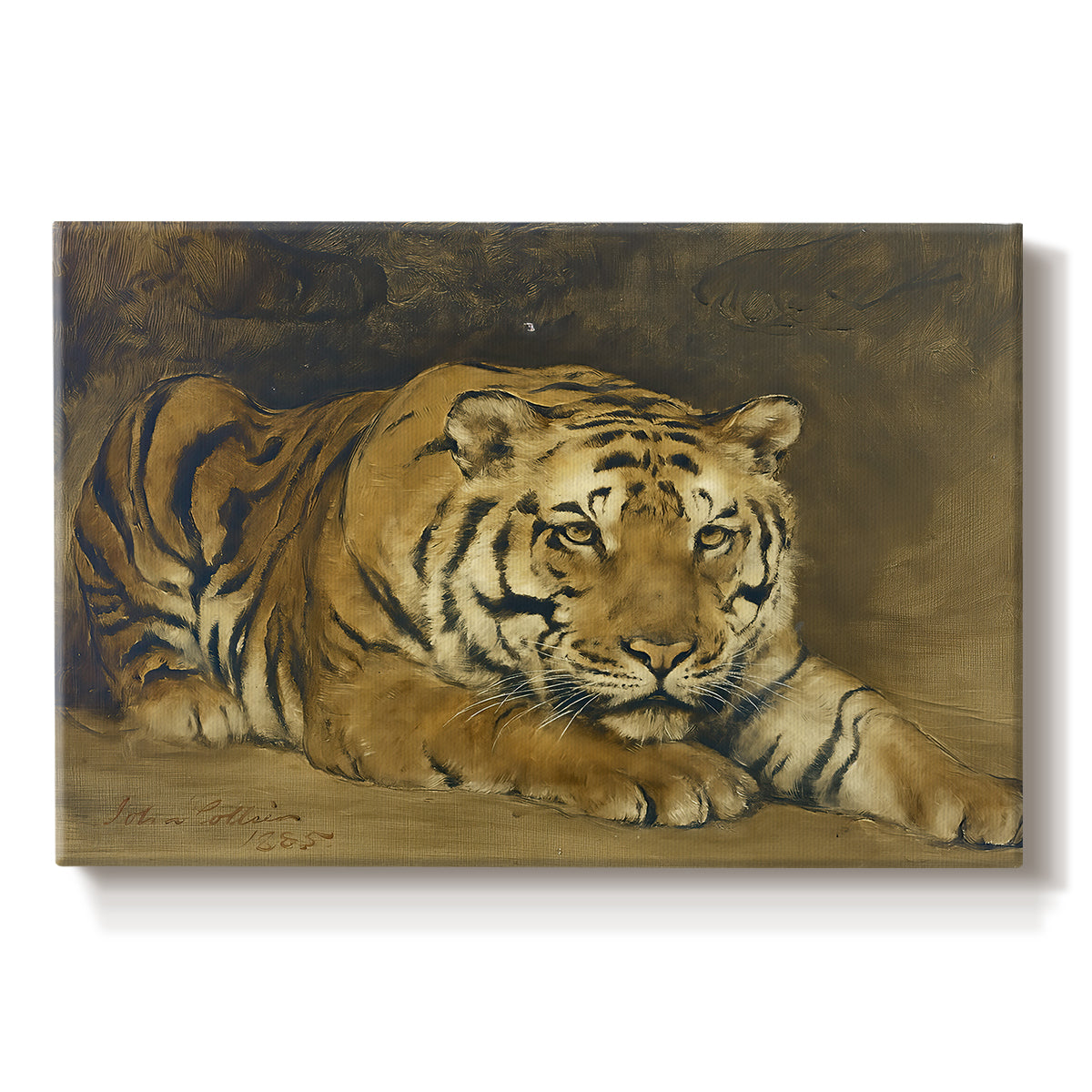 Canvas art print portraying a tiger lying in resting position with detailed form, set against a white background