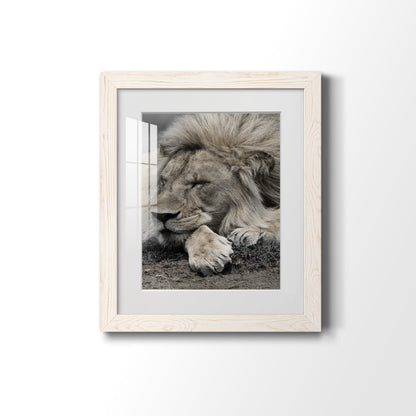 Sleepy Afternoon in Masai Mara - Premium Framed Print - Distressed Barnwood Frame - Ready to Hang