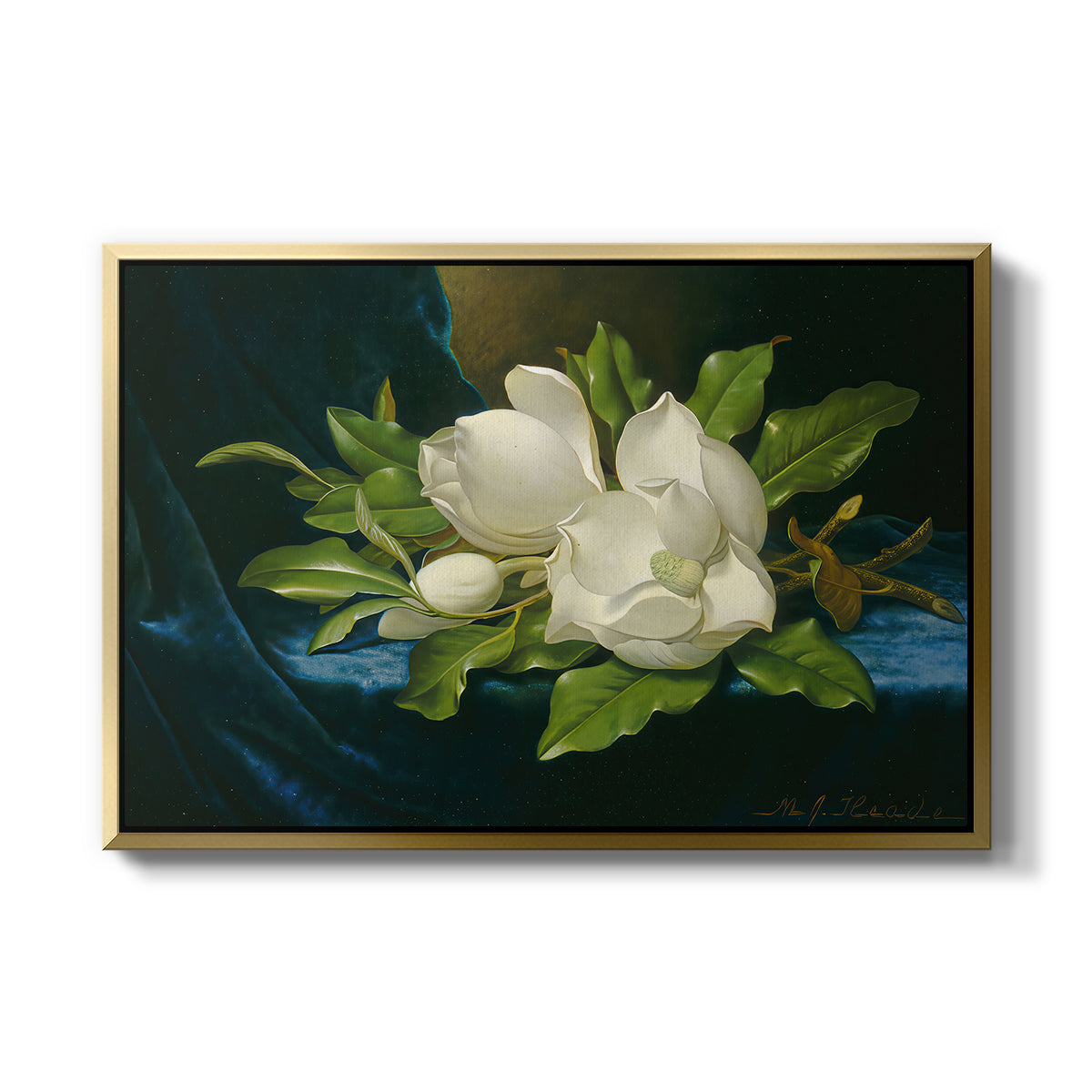 Giant Magnolias on a Blue Velvet Cloth, c. 1890 - Floater Framed Canvas Print