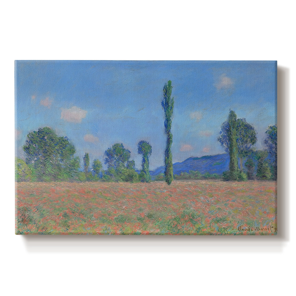 Canvas art print portraying an expansive field of red poppies with tall trees under blue sky, set against a white background