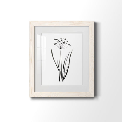 Inky Botanical II - Premium Framed Print - Distressed Barnwood Frame - Ready to Hang