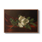 Magnolia on Red Velvet, c. 1885-1890 - Floater Framed Canvas Print