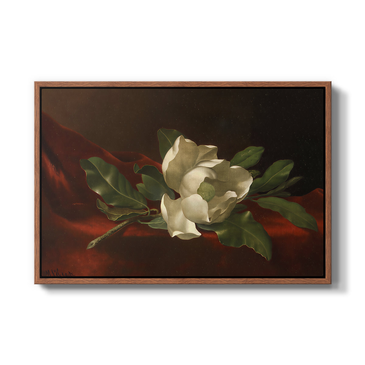 Magnolia on Red Velvet, c. 1885-1890 - Floater Framed Canvas Print
