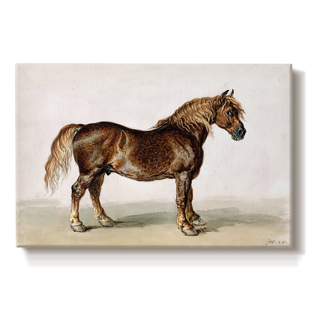 Canvas art print portraying a sturdy cart horse standing in profile against plain background, set against a white background