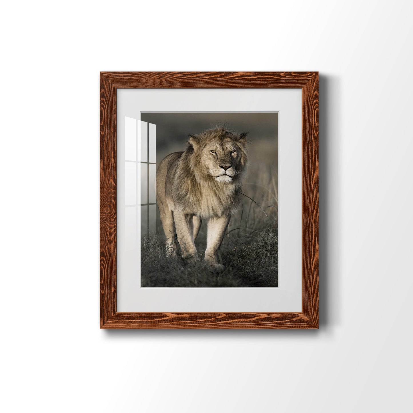 Morning Walk in Masai Mara - Premium Framed Print - Distressed Barnwood Frame - Ready to Hang