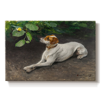 Canvas art print portraying a dog lying on ground with head raised in natural outdoor setting, set against a white background