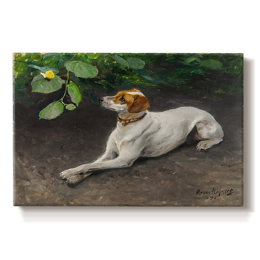 Canvas art print portraying a dog lying on ground with head raised in natural outdoor setting, set against a white background