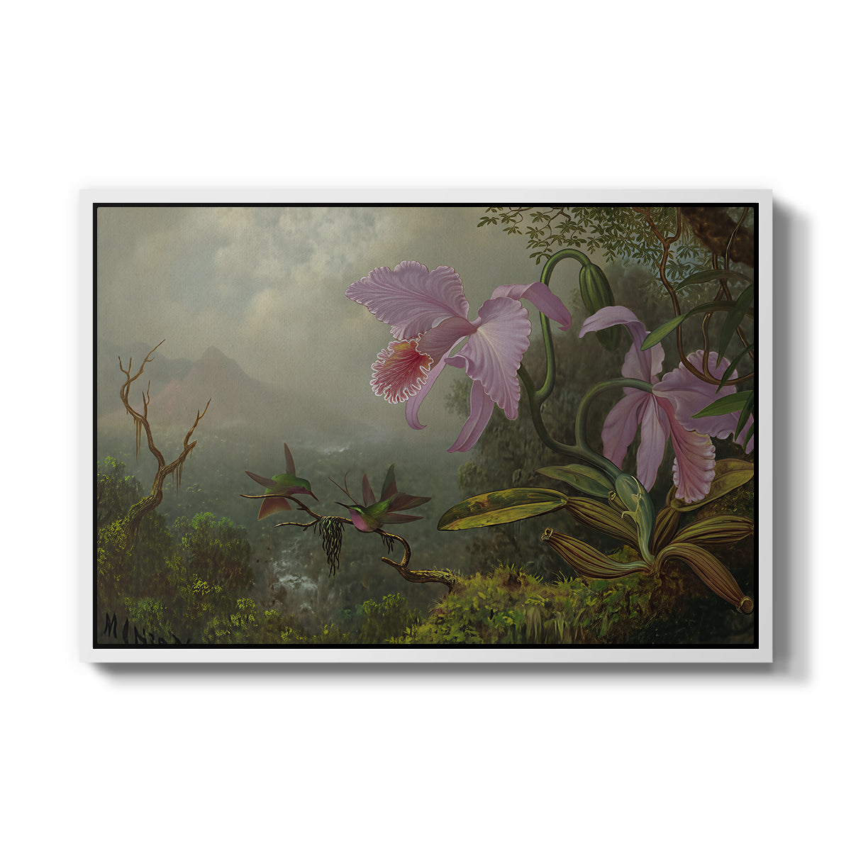 Two Sun Angel Hummingbirds on a Branch, c. 1890-1904 - Floater Framed Canvas Print
