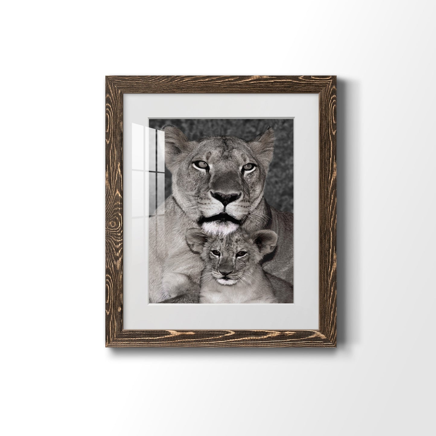 Lioness and Cub - Barnwood Framed Art Print