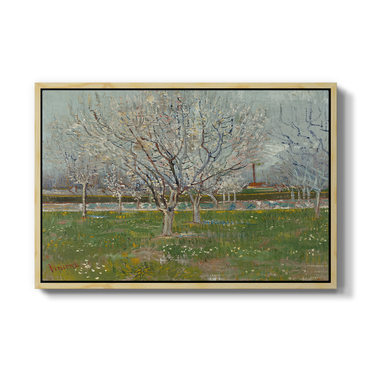 Orchard in Blossom (Plum Trees), 1888 - Floater Framed Canvas Print