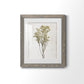 Farmhouse Pressed Flower II - Barnwood Framed Art Print