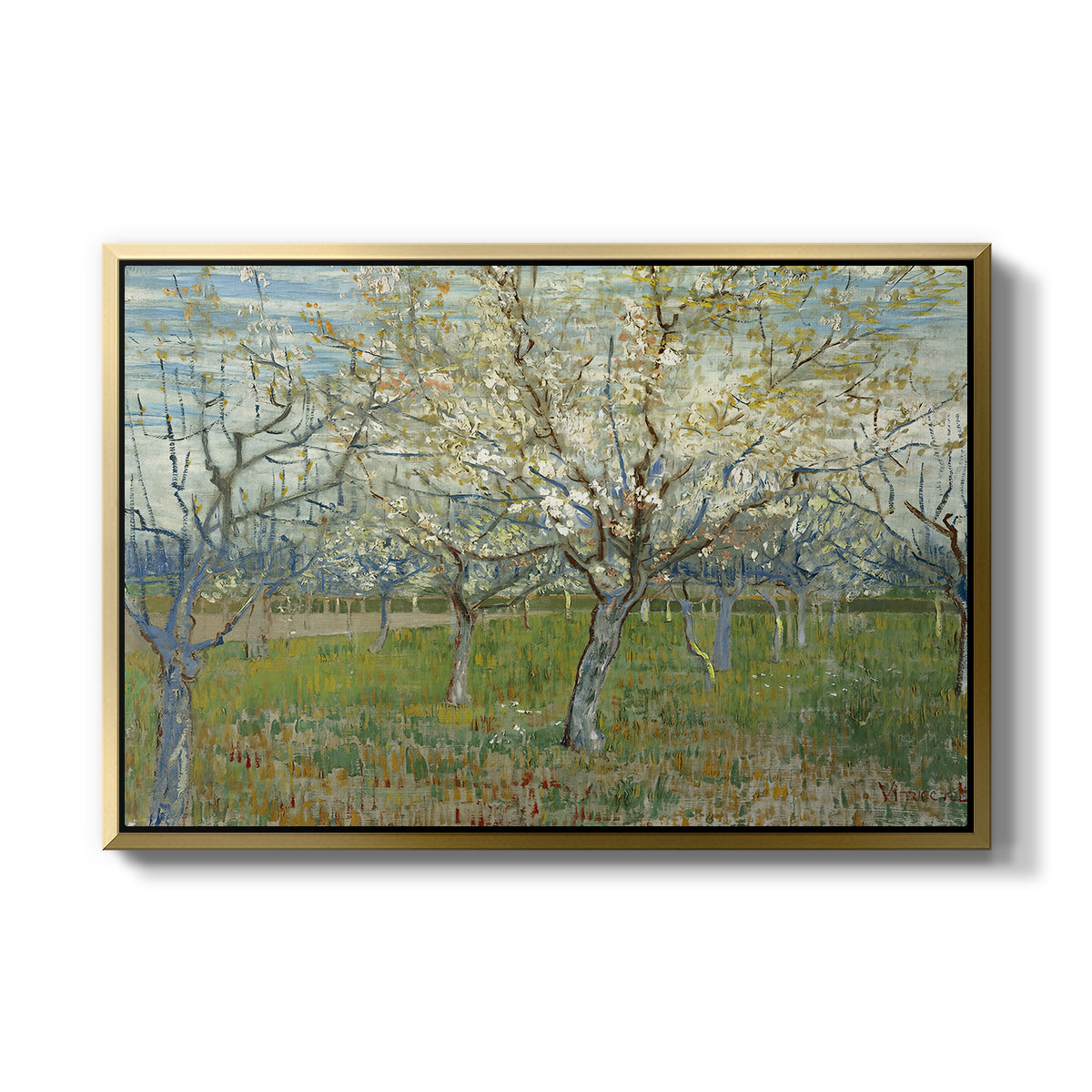 The Pink Orchard, 1888 - Floater Framed Canvas Print
