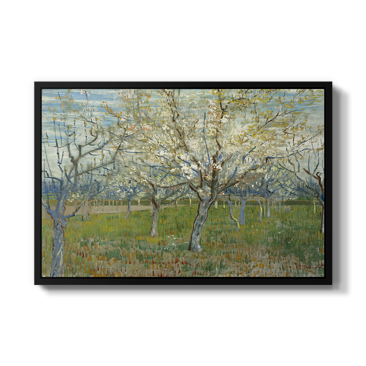 The Pink Orchard, 1888 - Floater Framed Canvas Print