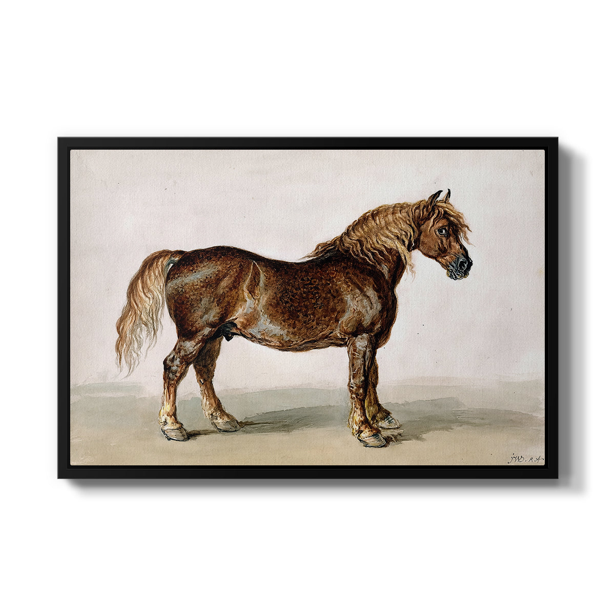 A Cart-Horse - Floater Framed Canvas Print