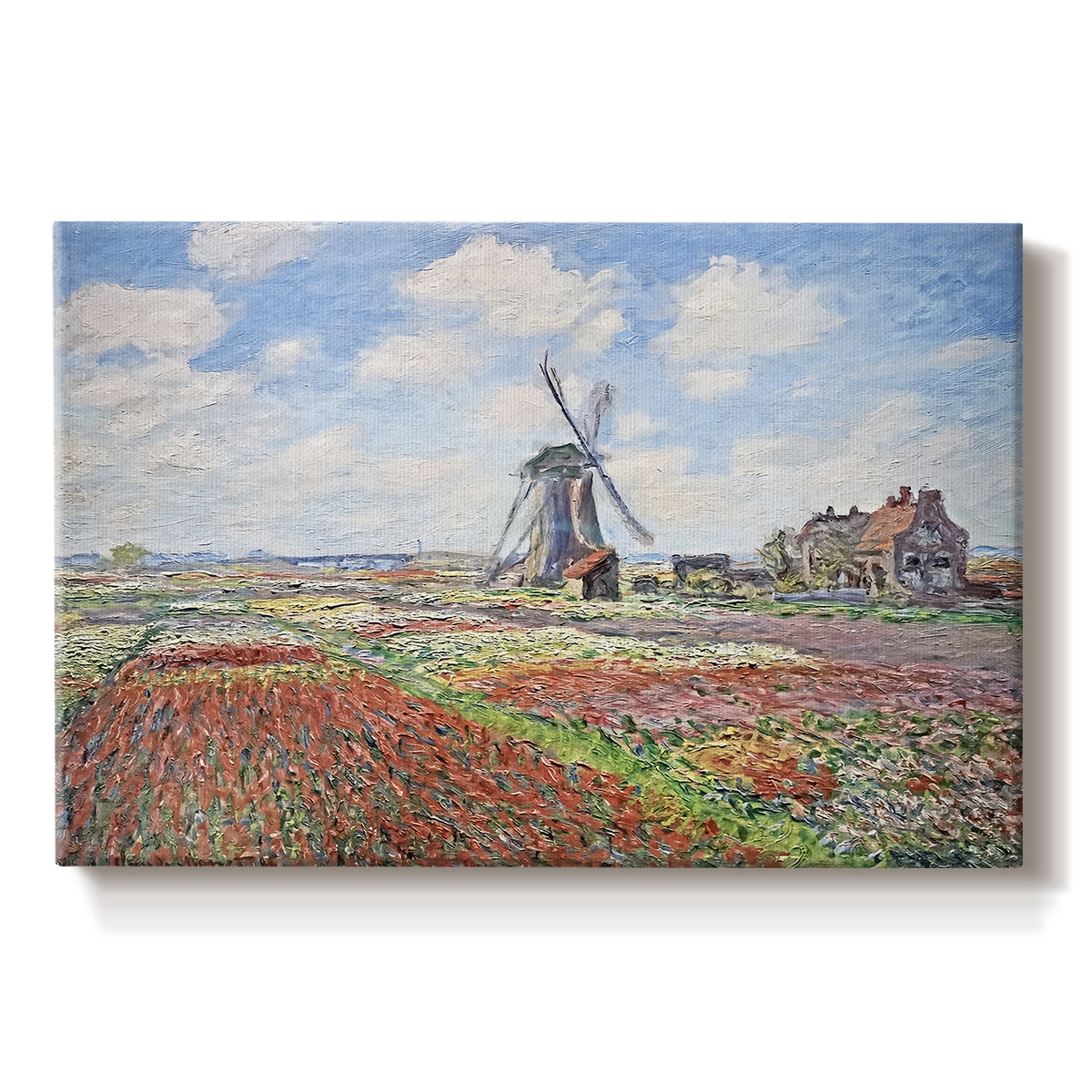 Canvas art print portraying colorful rows of tulip fields leading toward distant windmill, set against a white background