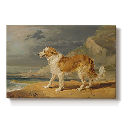 Canvas art print portraying a collie dog standing alert in open landscape, set against a white background