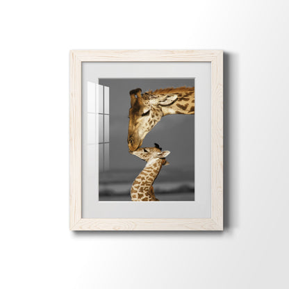 Masai Mara Giraffe Family - Premium Framed Print - Distressed Barnwood Frame - Ready to Hang