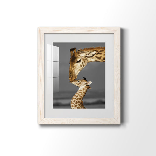 Masai Mara Giraffe Family - Premium Framed Print - Distressed Barnwood Frame - Ready to Hang