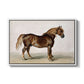 A Cart-Horse - Floater Framed Canvas Print