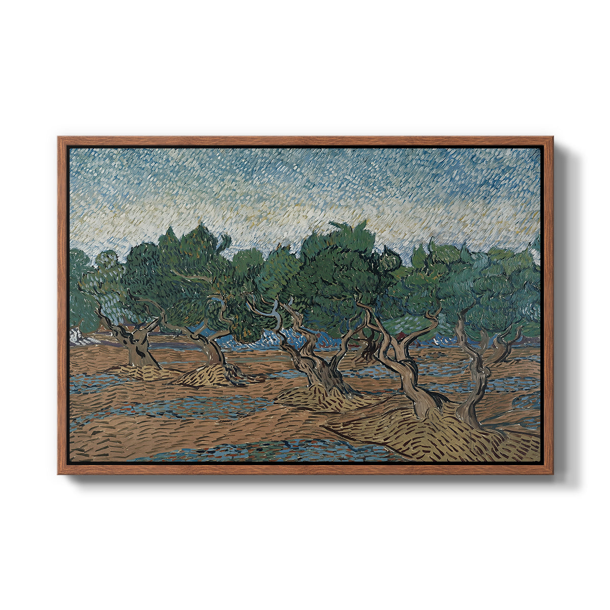 Olive Trees, 1889 - Floater Framed Canvas Print