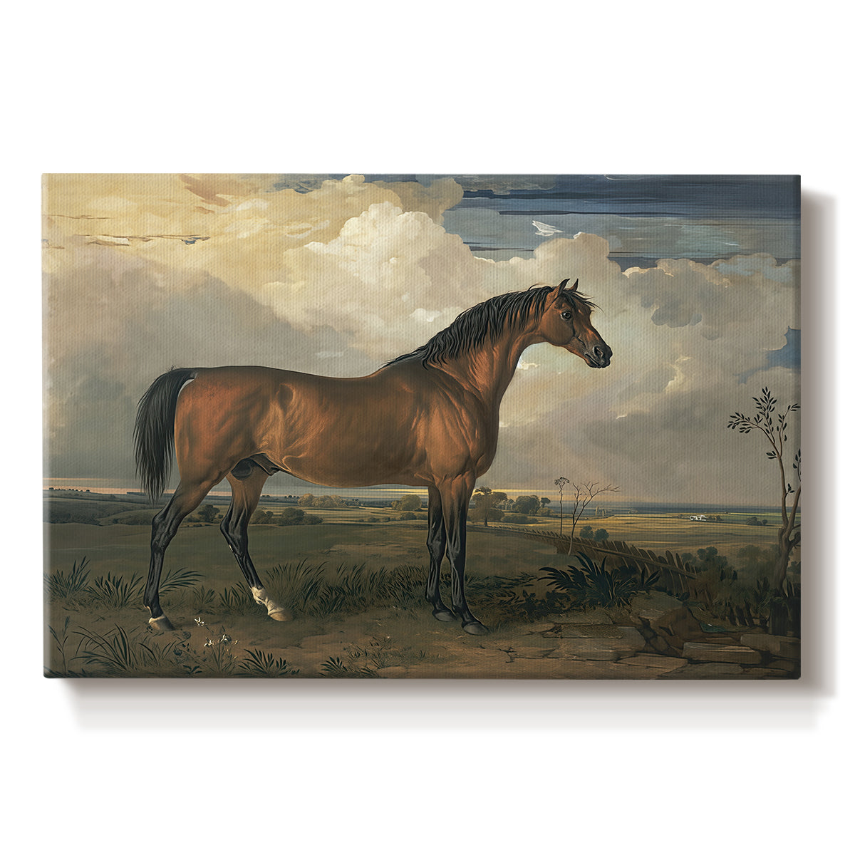 Canvas art print portraying a horse standing prominently in open landscape with strong posture, set against a white background