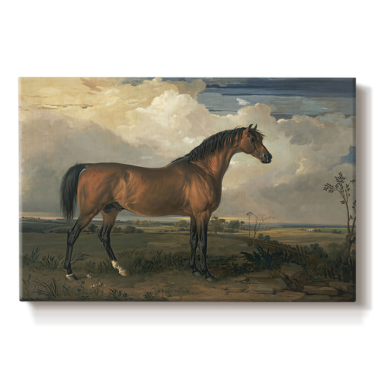 Canvas art print portraying a horse standing prominently in open landscape with strong posture, set against a white background