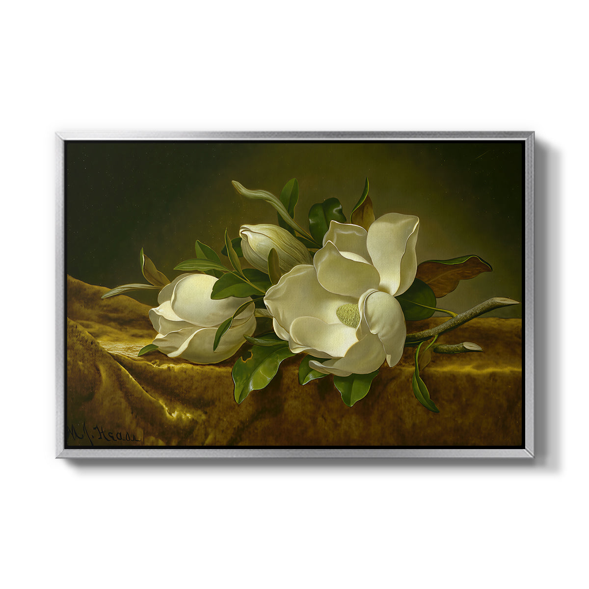 Magnolias on Gold Velvet Cloth, c. 1888-1890 - Floater Framed Canvas Print