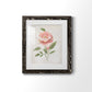 Grandiflora III - Premium Framed Print - Distressed Barnwood Frame - Ready to Hang