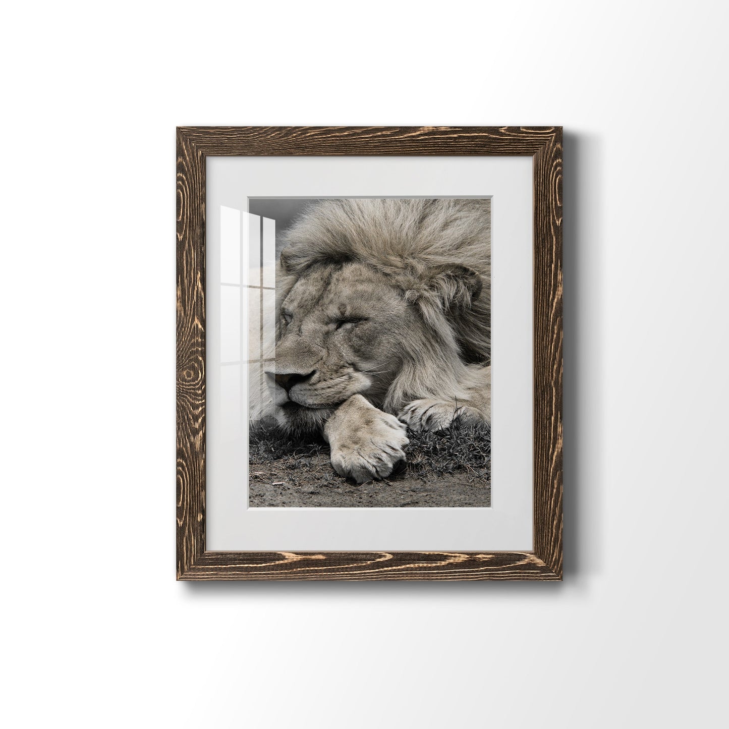 Sleepy Afternoon in Masai Mara - Premium Framed Print - Distressed Barnwood Frame - Ready to Hang