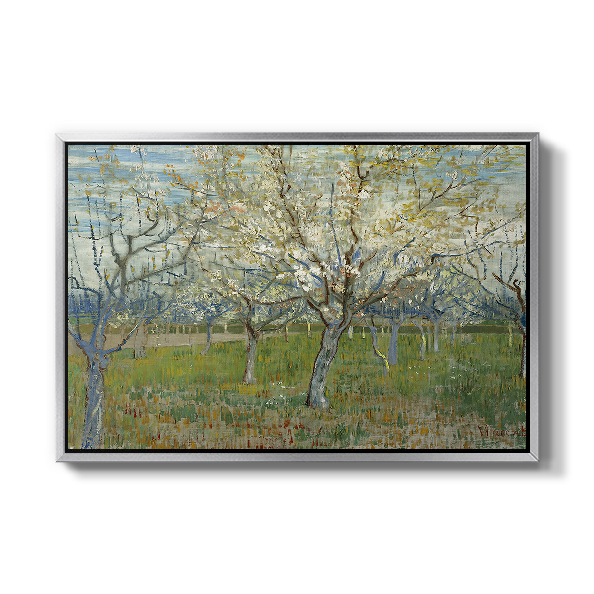 The Pink Orchard, 1888 - Floater Framed Canvas Print