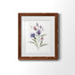 Color Variety IV - Barnwood Framed Art Print
