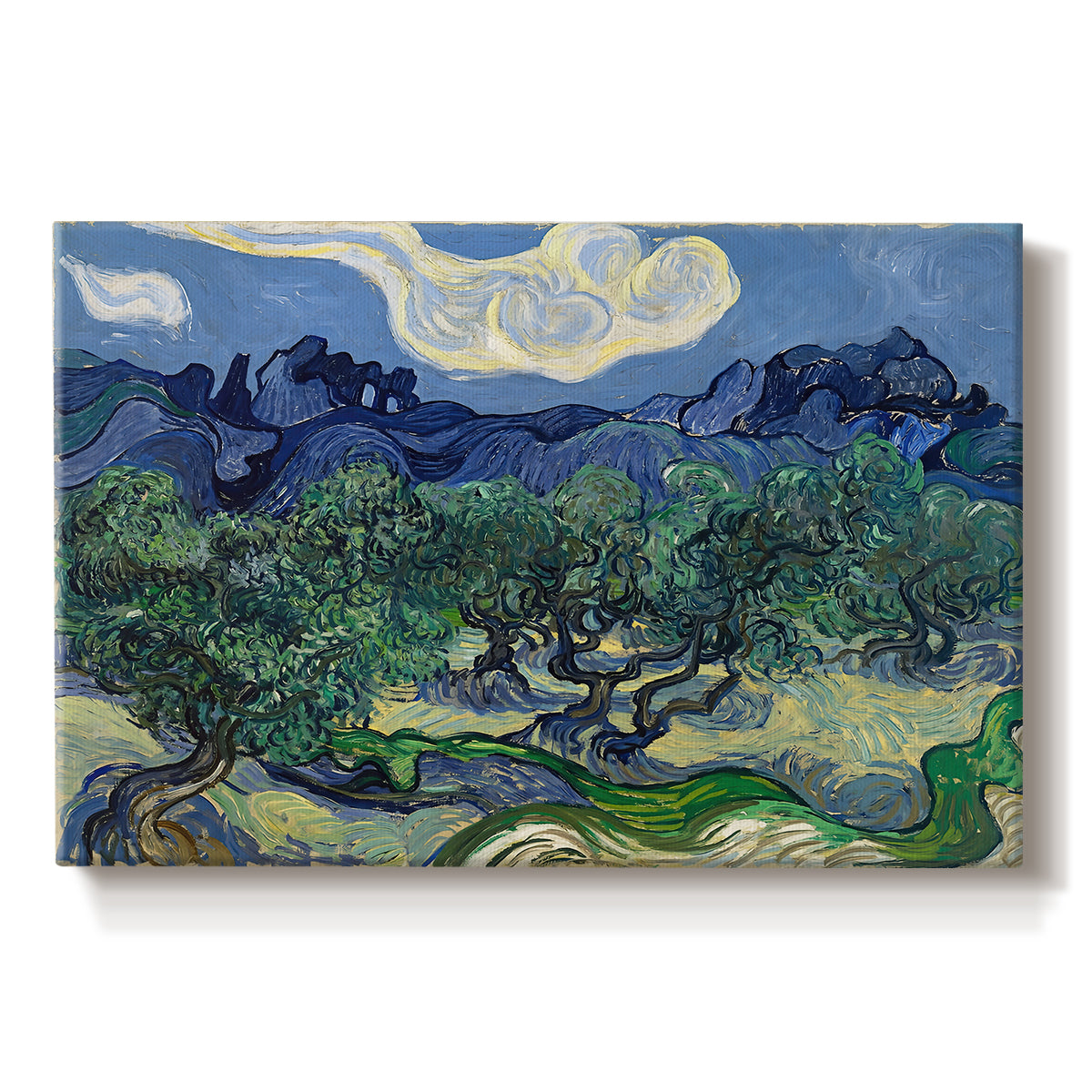Canvas art print portraying an olive grove with twisted trees set before distant mountain range, set against a white background