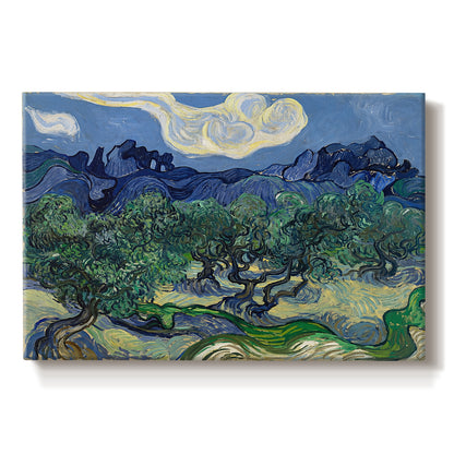 Canvas art print portraying an olive grove with twisted trees set before distant mountain range, set against a white background