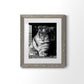 Tiger Repose - Premium Framed Print - Distressed Barnwood Frame - Ready to Hang