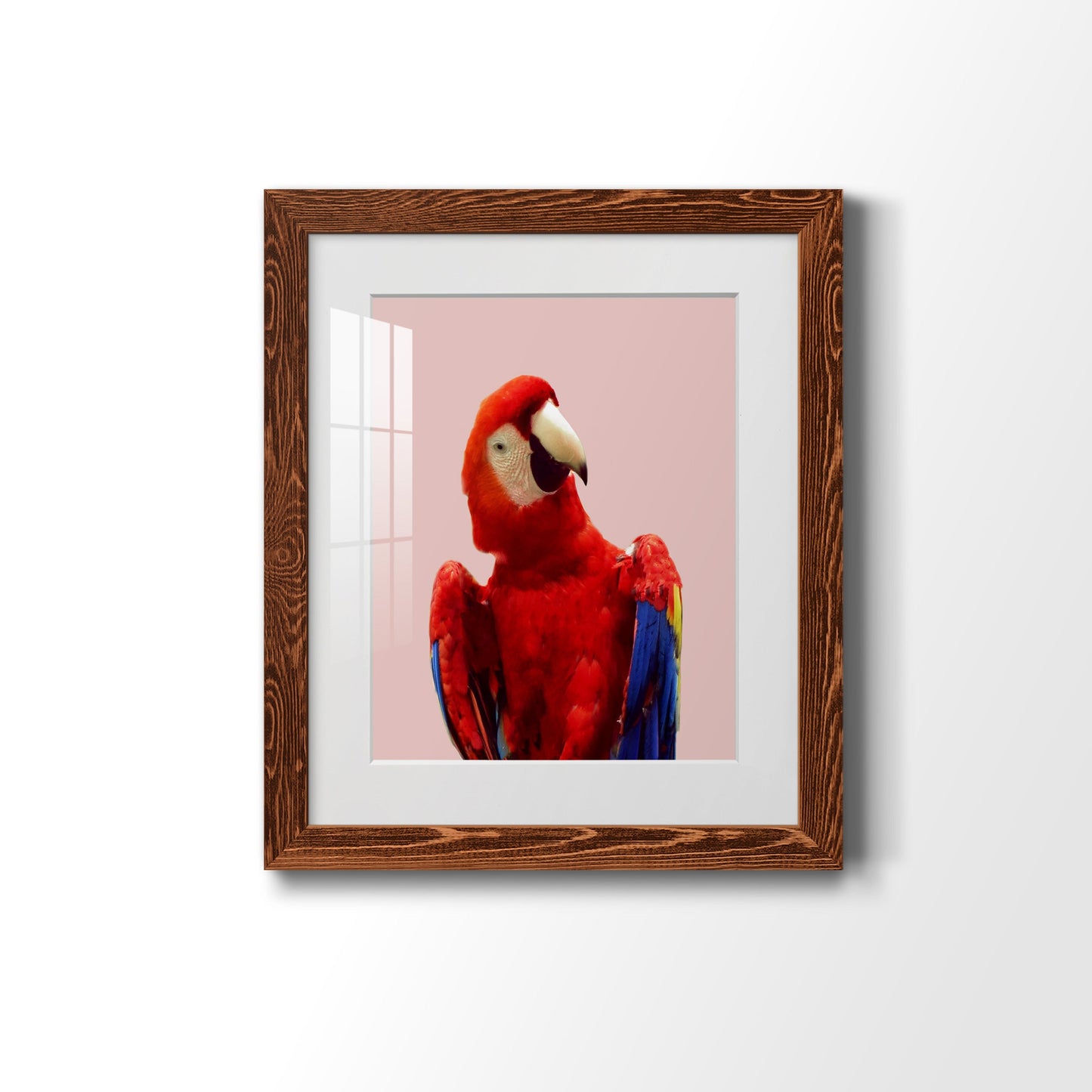 Honduras Wildlife - Premium Framed Print - Distressed Barnwood Frame - Ready to Hang