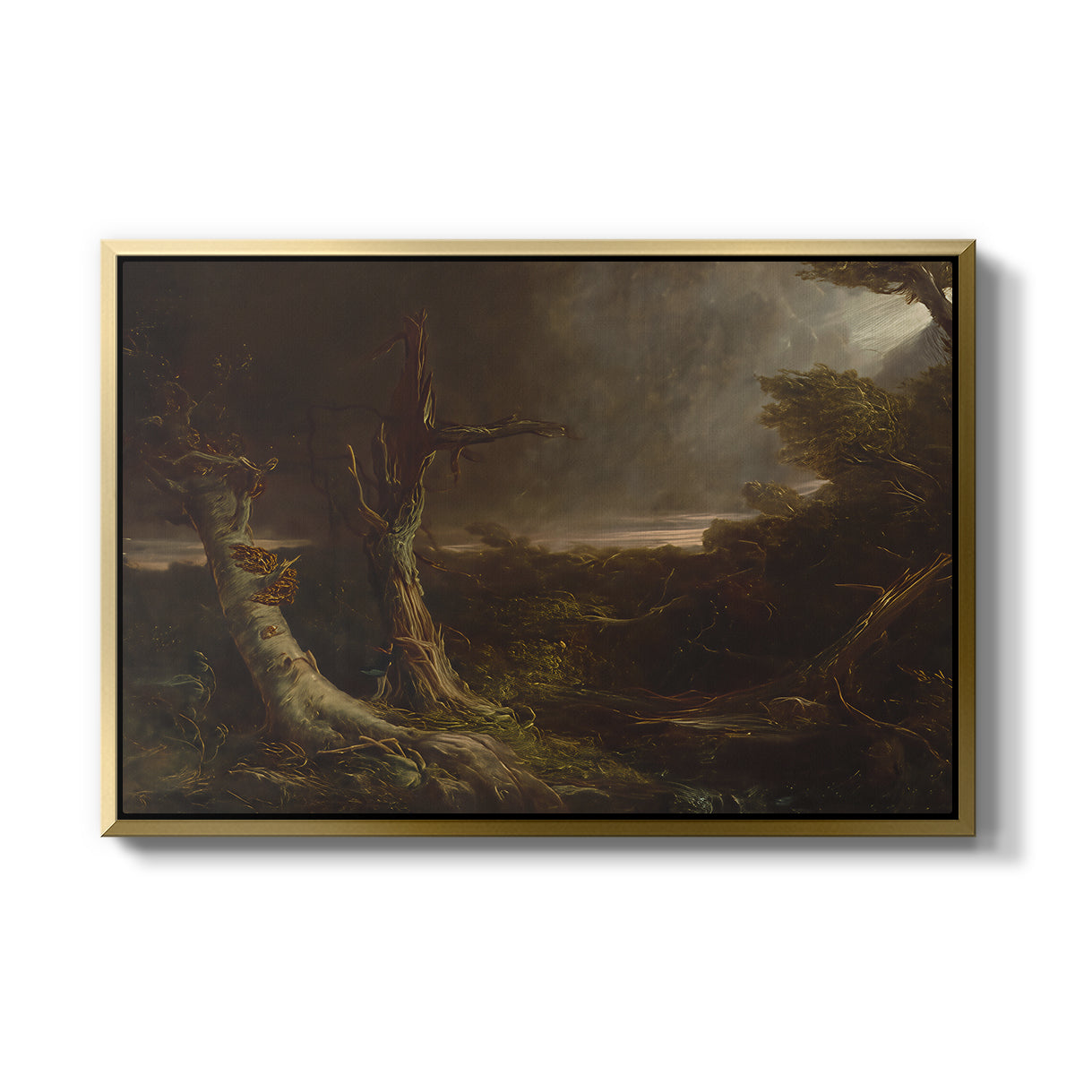 Tornado in an American Forest, 1835 - Floater Framed Canvas Print