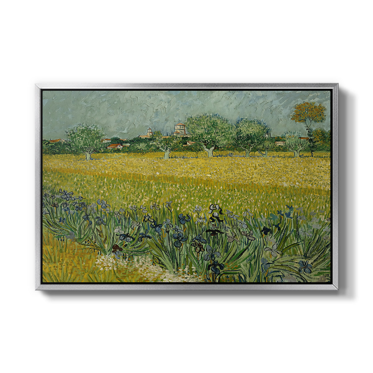 Field with Irises near Arles, 1888 - Floater Framed Canvas Print