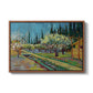 Orchard in Blossom, Bordered by Cypresses, 1888 - Floater Framed Canvas Print