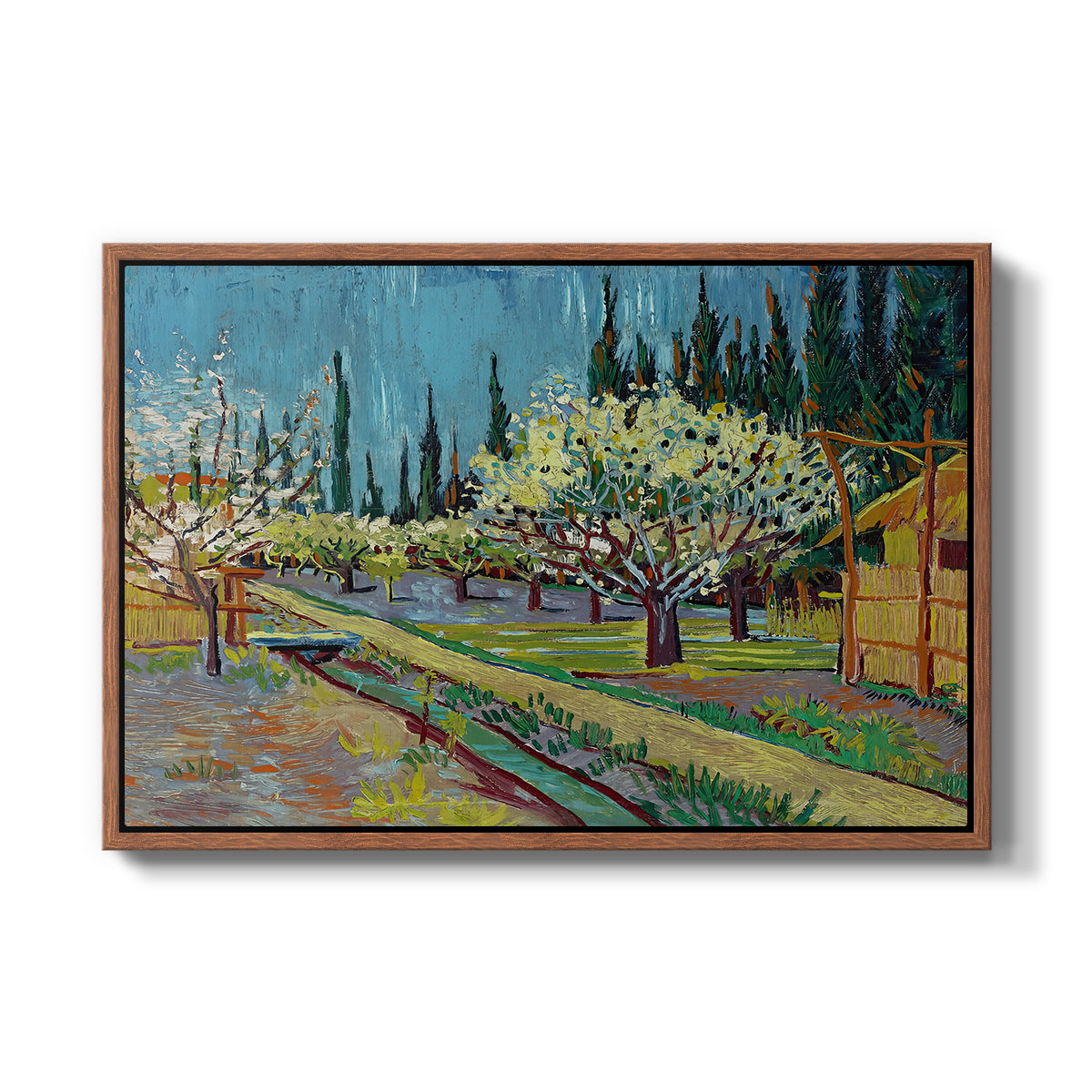 Orchard in Blossom, Bordered by Cypresses, 1888 - Floater Framed Canvas Print