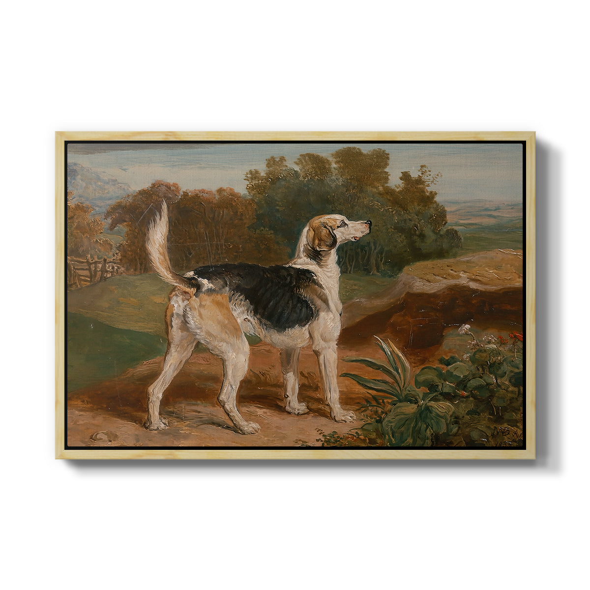Ravager, One of the Lambton Hounds, 1835 - Floater Framed Canvas Print