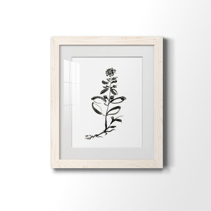 Inky Botanical III - Premium Framed Print - Distressed Barnwood Frame - Ready to Hang