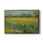 Field with Irises near Arles, 1888 - Floater Framed Canvas Print