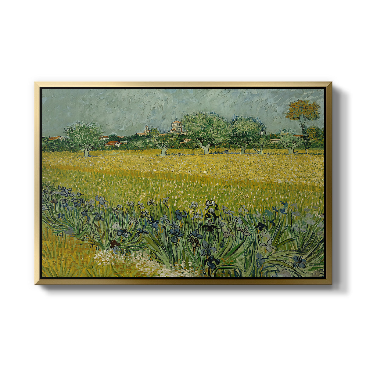Field with Irises near Arles, 1888 - Floater Framed Canvas Print