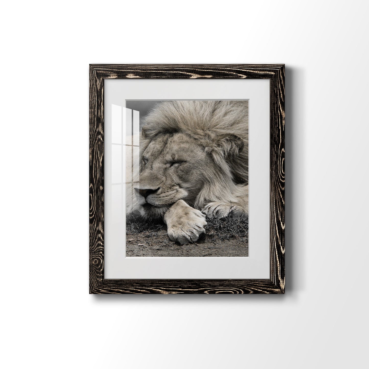 Sleepy Afternoon in Masai Mara - Premium Framed Print - Distressed Barnwood Frame - Ready to Hang