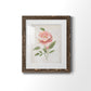 Grandiflora III - Barnwood Framed Art Print