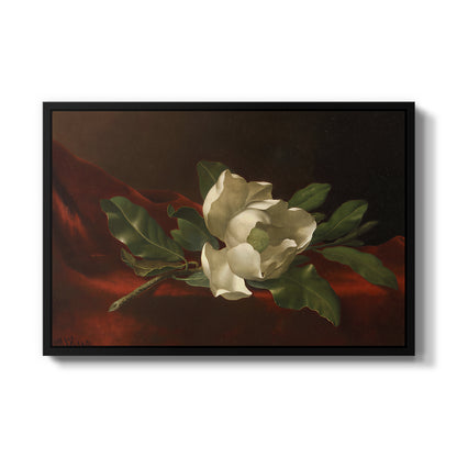 Magnolia on Red Velvet, c. 1885-1890 - Floater Framed Canvas Print