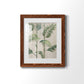 Modern Fronds I - Premium Framed Print - Distressed Barnwood Frame - Ready to Hang