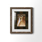 Divine Grace I - Premium Framed Print - Distressed Barnwood Frame - Ready to Hang